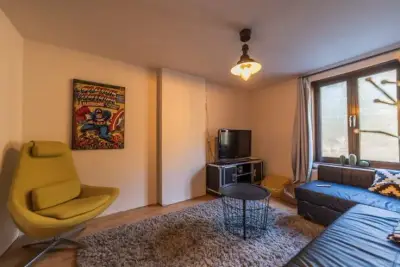 Vintage Racing House — photo 4