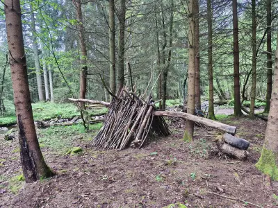 Robinson Challenge — photo 4